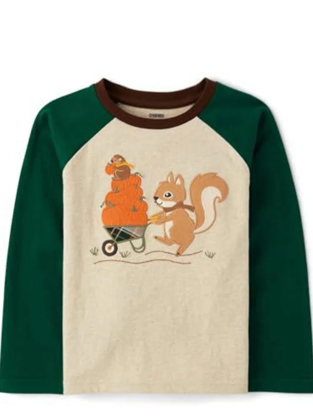 Gymboree 5T New Boys' and Toddler Squirrel Long Sleeve Raglan T-Shirt